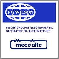 PIECES FG WILSON ET MECC ALTE